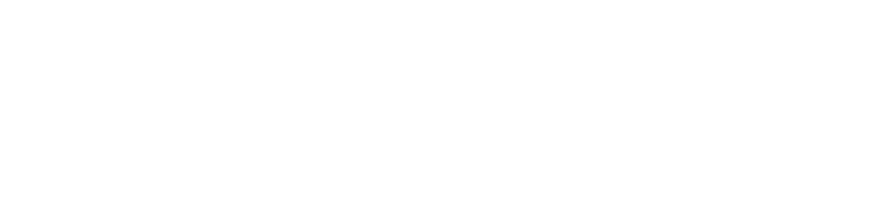 Dynamic Motion SA